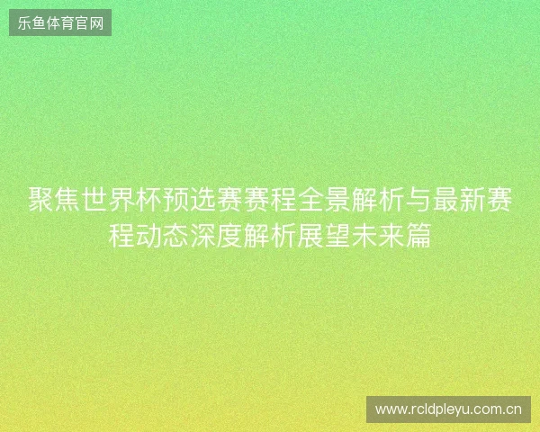 聚焦世界杯预选赛赛程全景解析与最新赛程动态深度解析展望未来篇